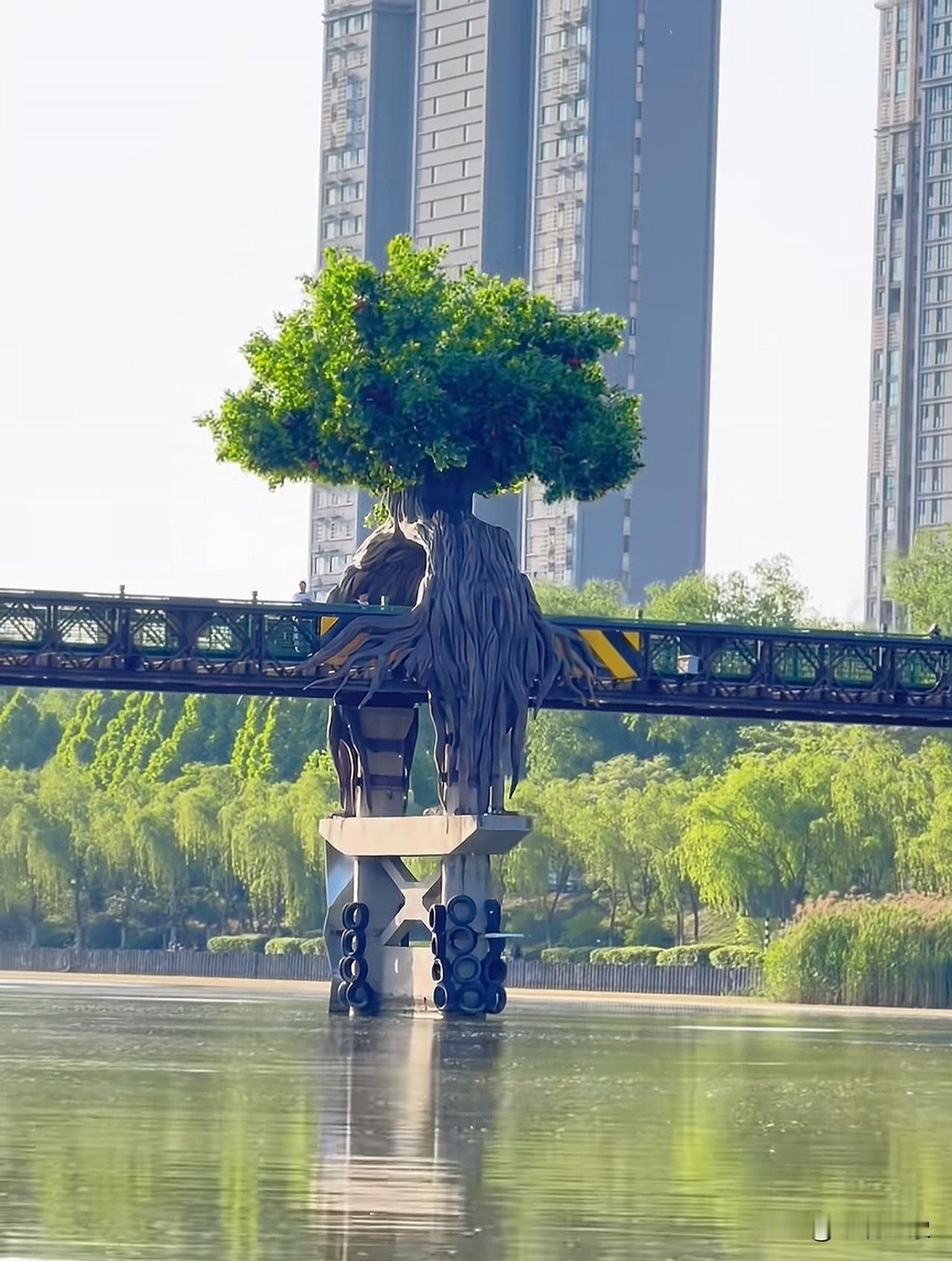 这棵树好美毫州