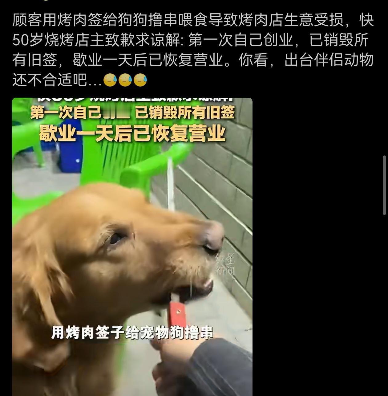 顾客用烤肉签给狗狗撸串喂食导致烤肉店生意受损。大家讨厌的从来不是猫猫狗狗，而是那