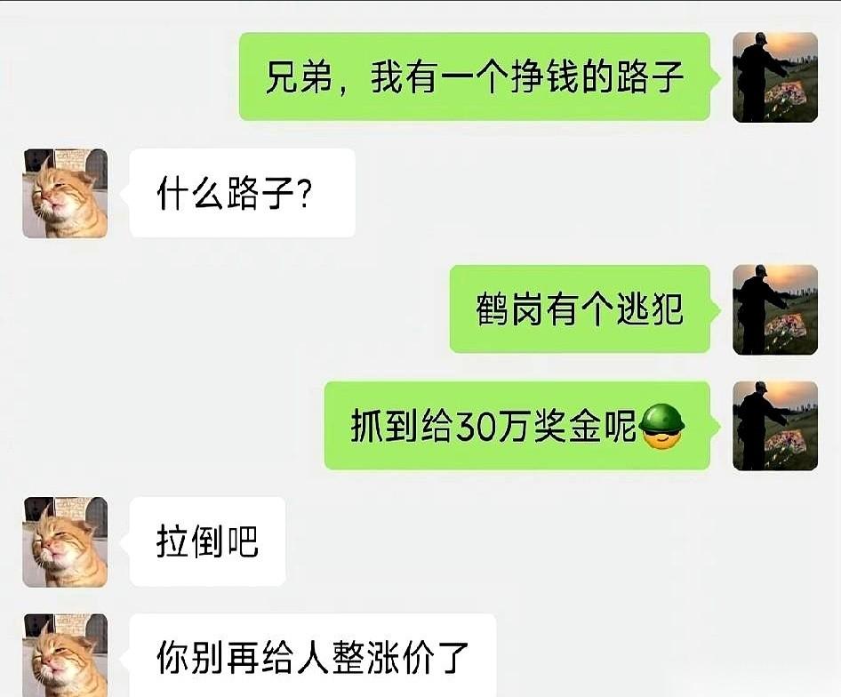 我抓起手机，飞快打字：兄弟，鹤岗有个活儿，三十万！手指还悬在屏幕上，等着他回一