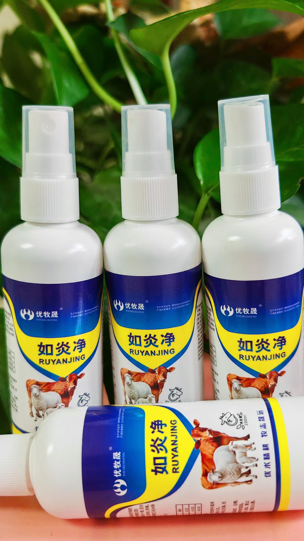 养羊人牛羊养殖农村养羊