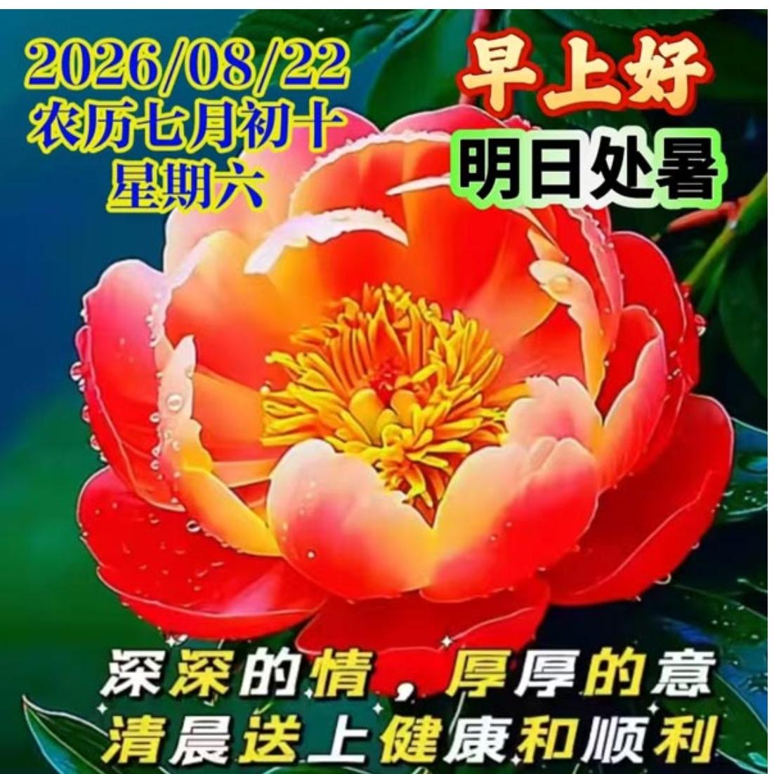 朝阳升起迎周末，美好一天又来临；秋晨祝福万事顺，健康平安每一天；隔屏问候