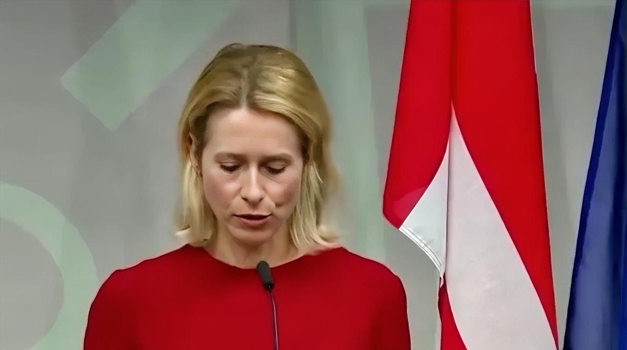 公开窃取一个主权国家的资产当然存在巨大风险，更不用说还要交给泽连斯基。但卡拉斯表