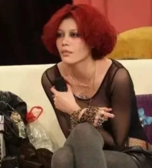 2004年，汪峰和小16岁的“嫩模”葛荟婕“结婚”，生下女儿后，汪峰迅速提出分手