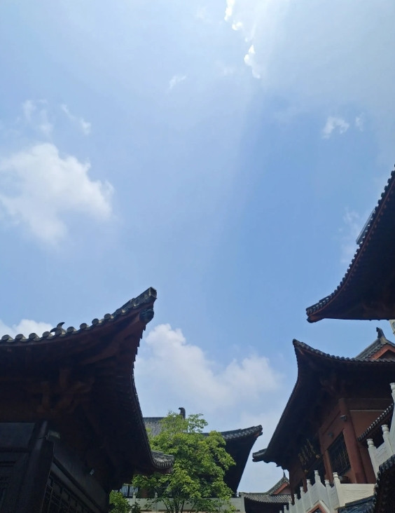 我表妹婚姻不顺，结婚3年都没有孩子，夫妻俩因为这个，从如胶似漆变成了相互埋怨。检