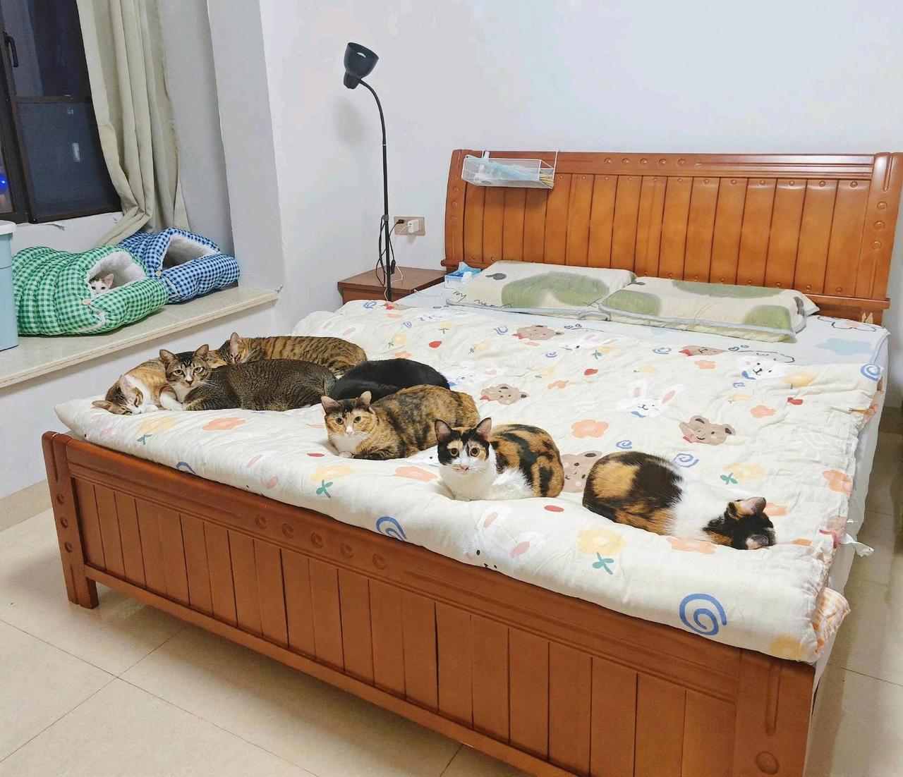 我儿媳妇家是这样的，我每次去都没地方休息[哭哭]