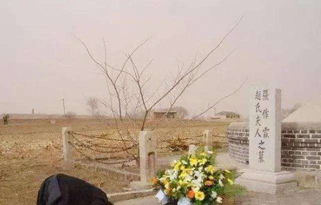 1994年5月，张闾琳站在辽宁锦州张作霖墓前，跪倒在地，哭得像个孩子。他对着墓碑