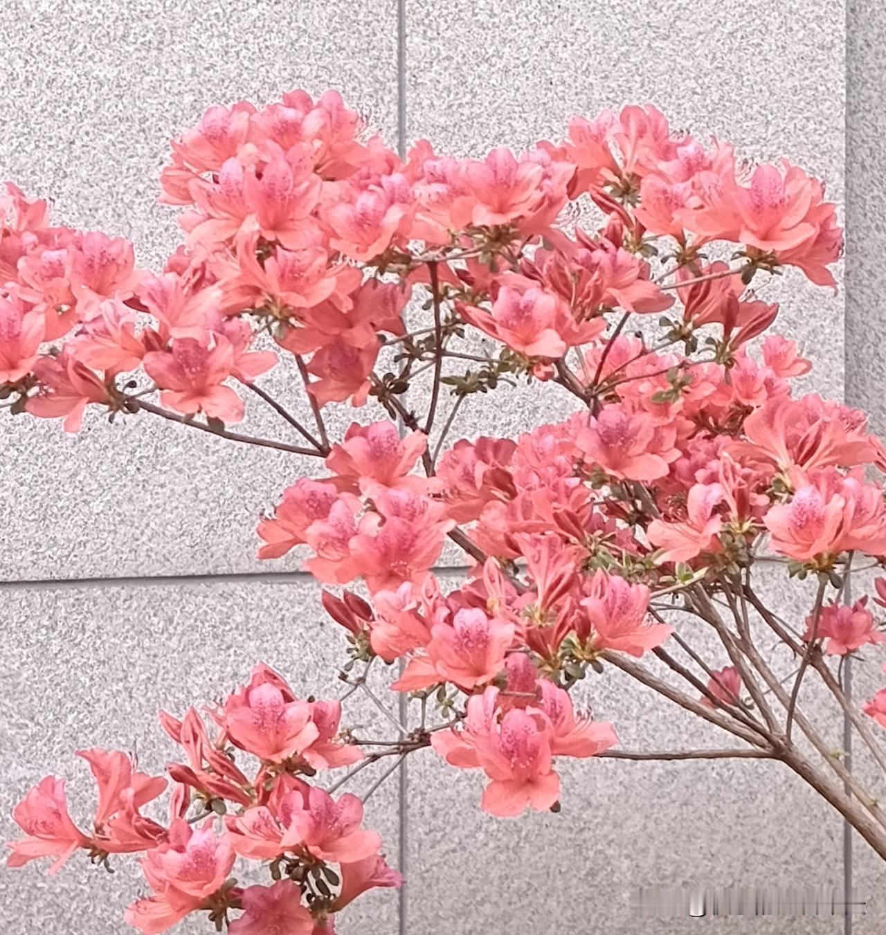 老天庇佑之人，身上皆有这几种“贵气相”，准得很老天庇佑之人，身上皆有这5种“贵