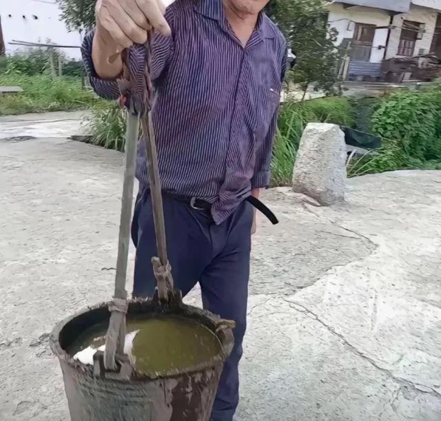 谁能猜出这是什么美食？猜对了让他尝尝