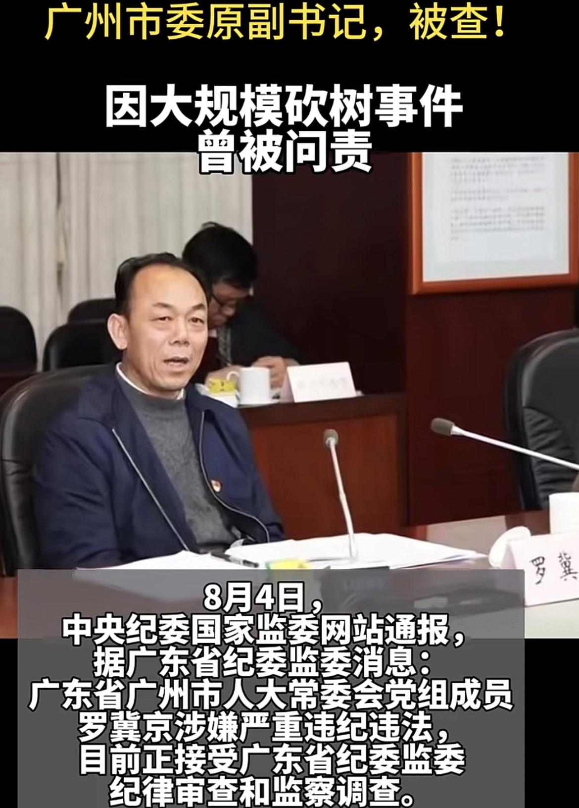 20-21年广州砍伐榕树，很多人可能都不是很了解事件的来龙去脉！本人住广州，