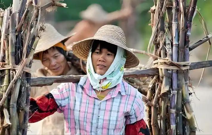 越南变化确实大，以前喊越南人过来广西砍甘蔗，一天50元人民币，后来变100人民币