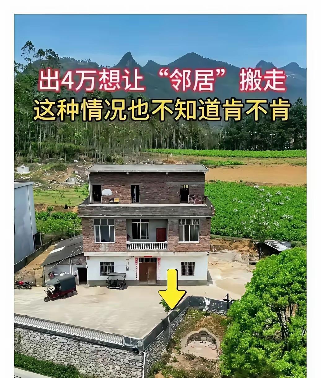 各位朋友，你们来分析一下他这个愿望能不能实现？我感觉他这个愿望虽然很美好，但是存