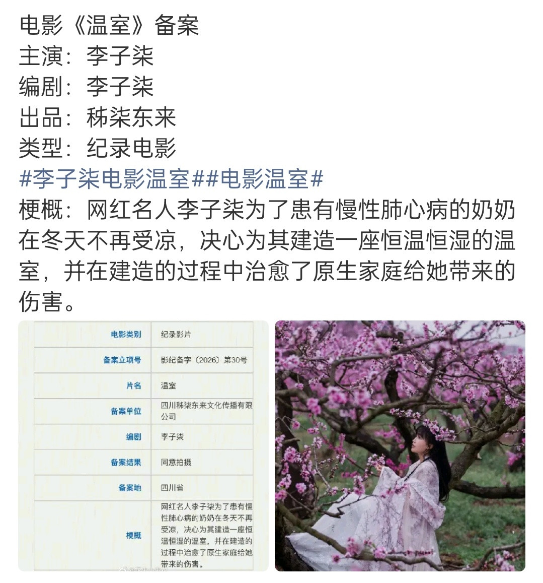 要是能拍成小森林的那种风格的话，那我会看