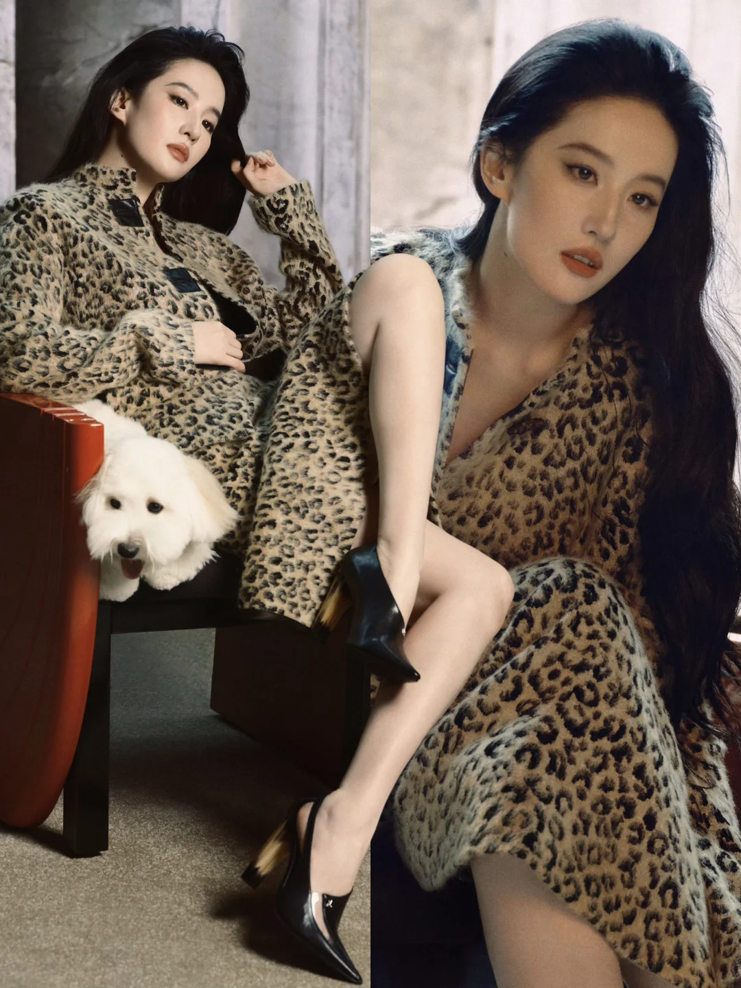 刘亦菲登芭莎金九封面，反复欣赏这震憾美貌