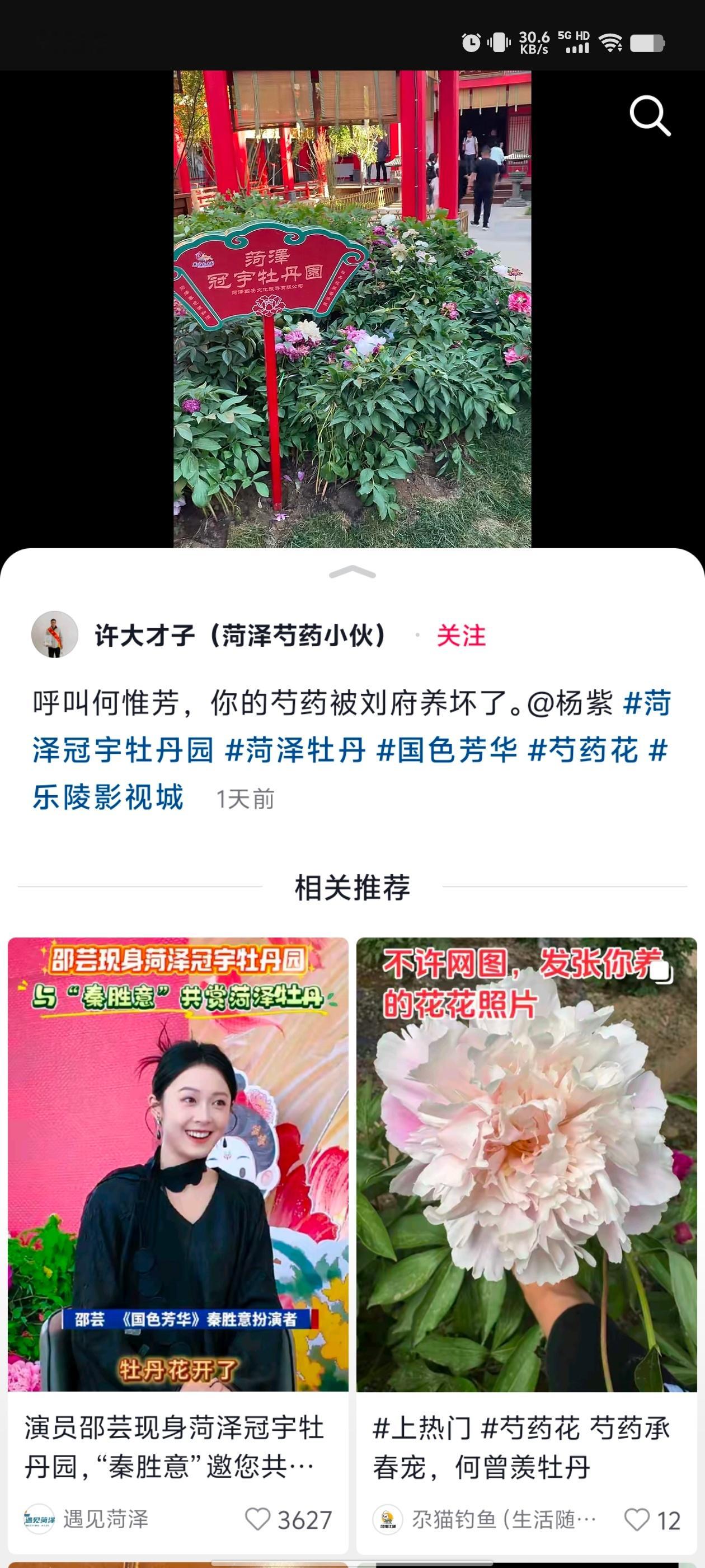 杨紫杨紫去年就拍了撕拉片😘杨紫生命树呼叫何惟芳～呼叫何惟芳～快