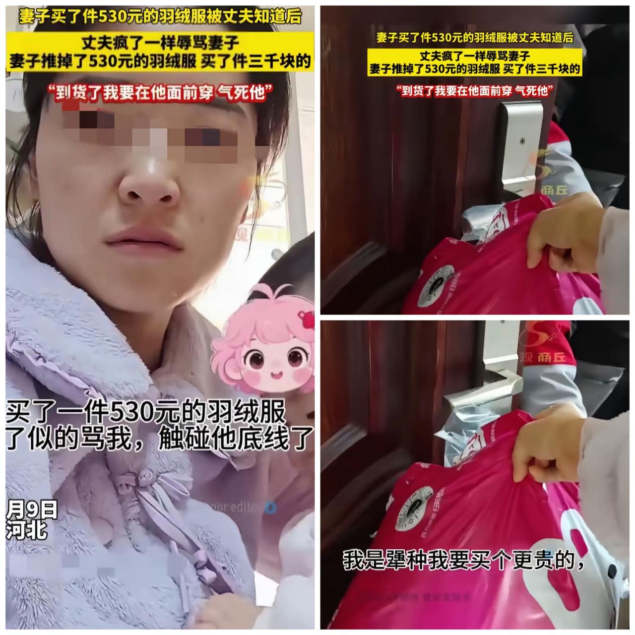 女子花530元买羽绒服被丈夫知道后，丈夫疯了一样谩骂指责妻子，妻子退掉530元的