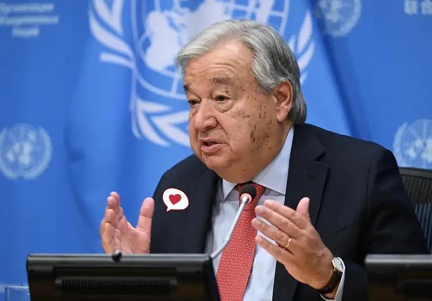 据环球时报报道，当地时间11月24日，日本常驻联合国代表山崎和之的一封信函，把本