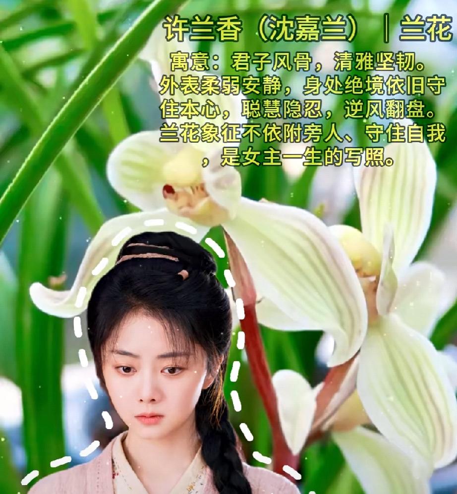 你有没有发现，《兰香如故》全员名字都是花，编剧藏得太深了，一朵花对应一个人的命运