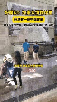 我惊呆了，我们的这些，外国人都没有的吗？