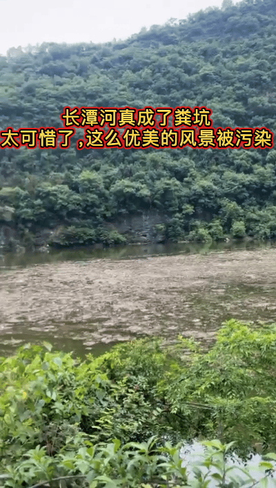 长潭河这真是成了粪坑，太可惜了，如此优美的环境被污染糟蹋了，都是养猪🐷等养殖场