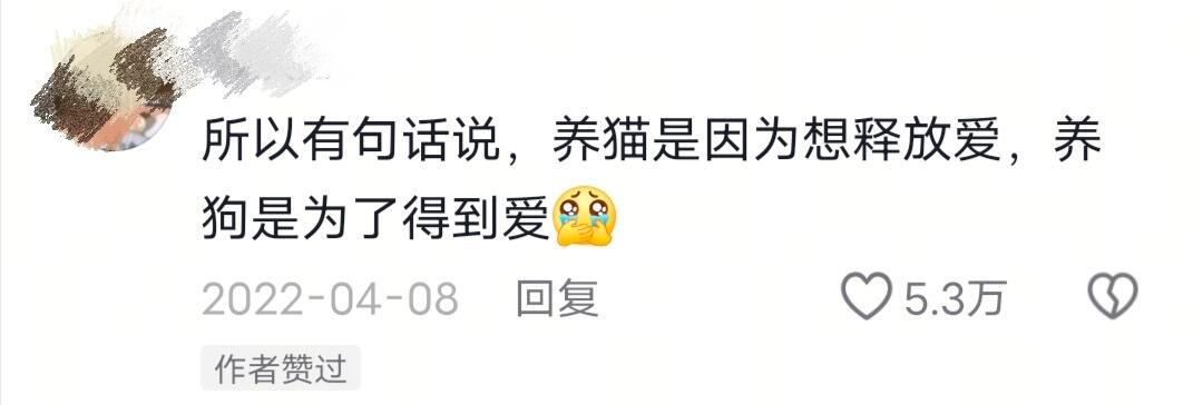 为什么人类会喜欢猫​​​