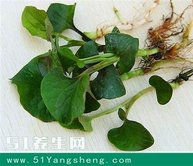 每天用鱼腥草泡水喝, 一个月后他的身体发生了奇妙的变化