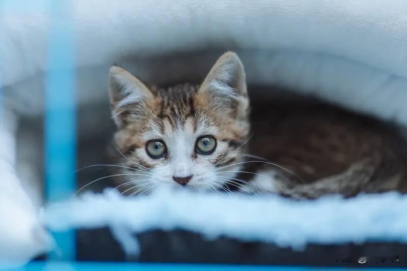 什么是贵人：1。当你有事的时候，家里或长辈出来给你平事这叫天德。2。当你迷茫