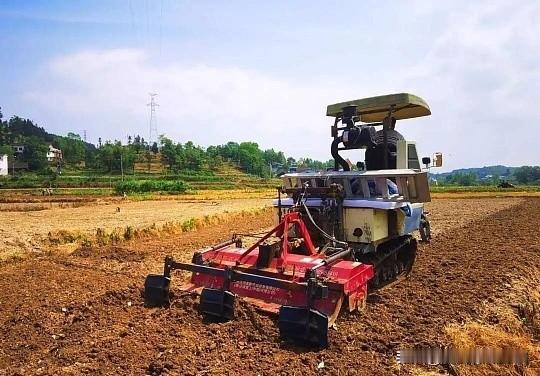 “谁开荒归谁”是严重的法律误解。荒地所有权始终属于国家或农民集体，开荒者最多只能