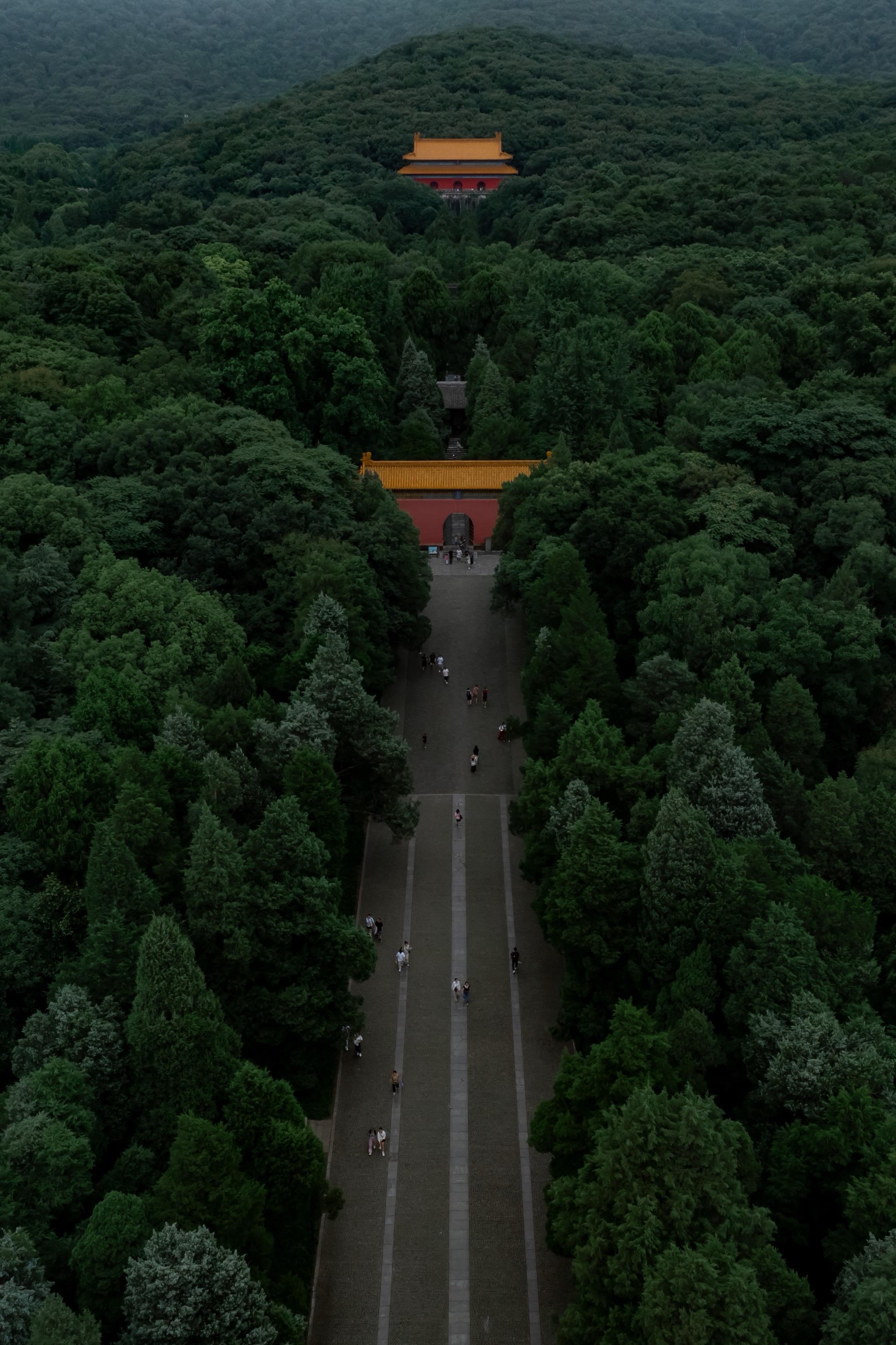 下雨天的南京 比想象中更值得。一直觉得，南京明孝陵更适合烟雨天来。 雨...