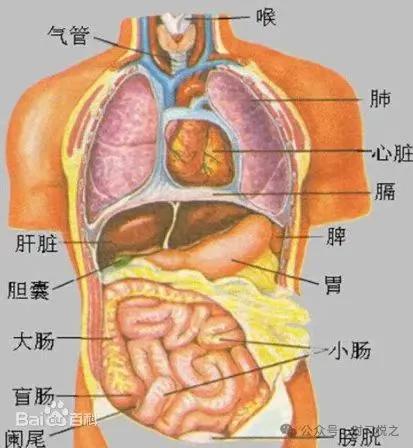 老师说，仲景六病疾病定义在物理结构上，你就有思路有方法了，搞懂疾病，解决疾病要跳