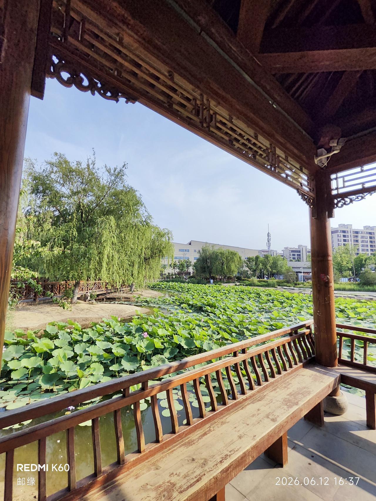 齐烟九点药山公园的休闲凉亭，简直是个宝藏打卡地。在济南的春天里，去药山公园登高望