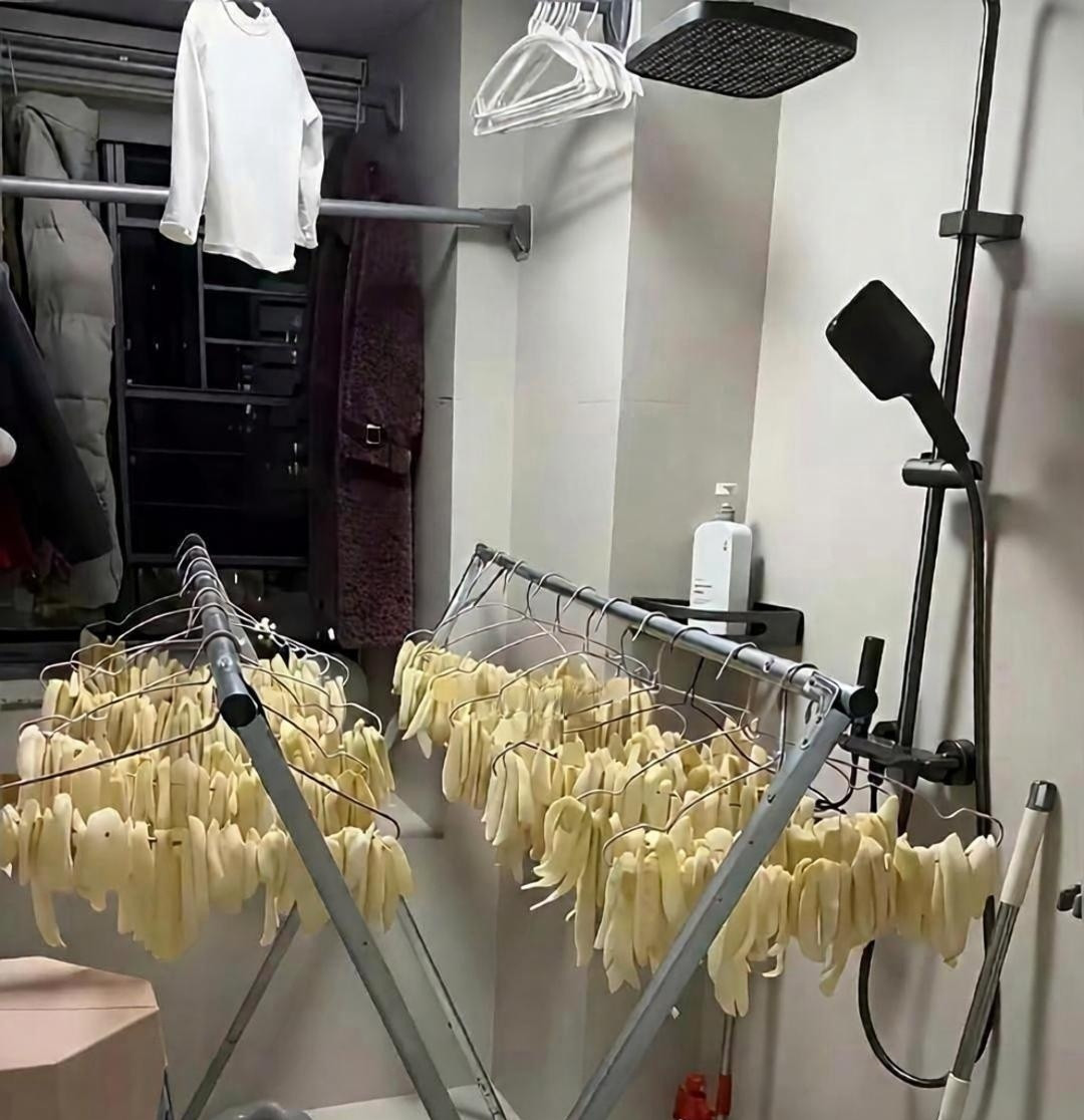 不敢想象这房间有多臭​​​