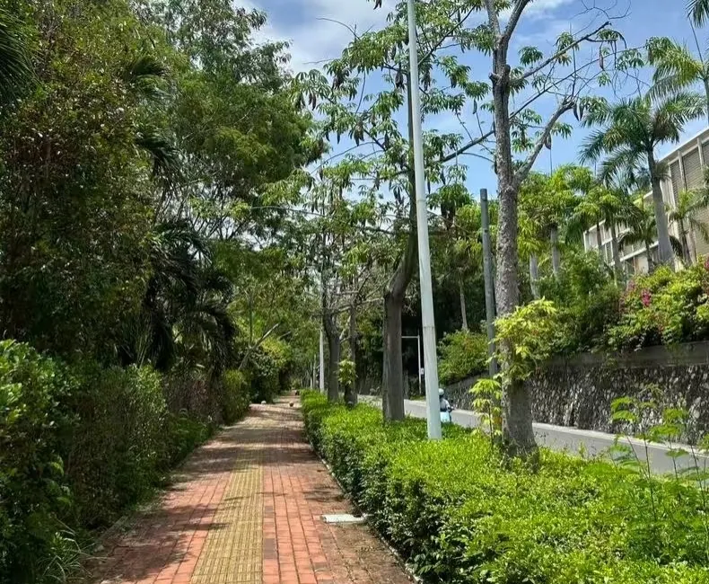 照片里的地方就是今年六一27岁女子被蛇咬的路段，三亚本地人看了说像鹿回头附近。