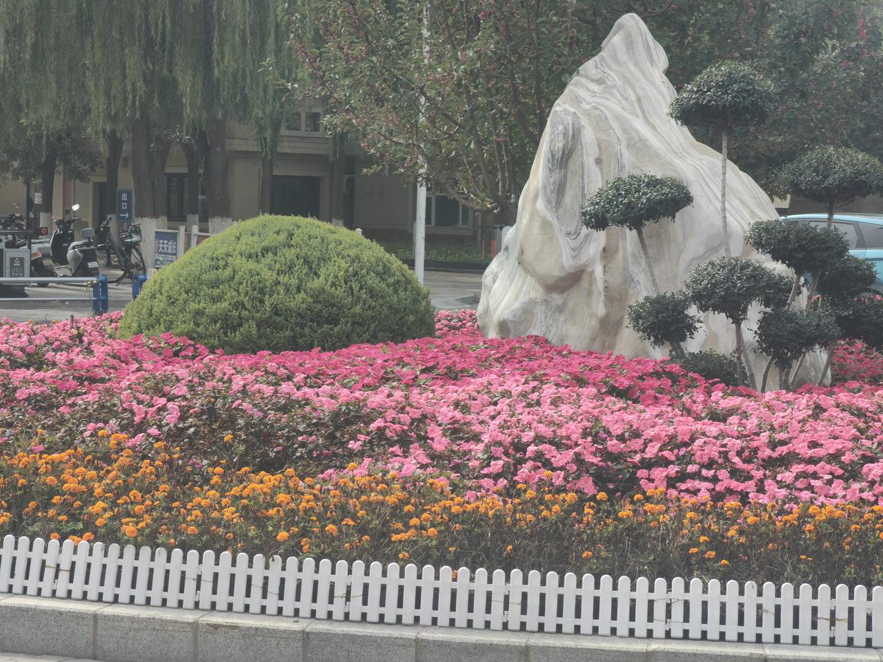 周末，在深秋季节的银川森林公园锻炼，简直是一幅绝美的画卷。这里是银川最大的城市森