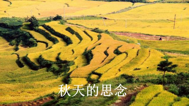 草原的秋天歌曲谱_秋天的草原图片