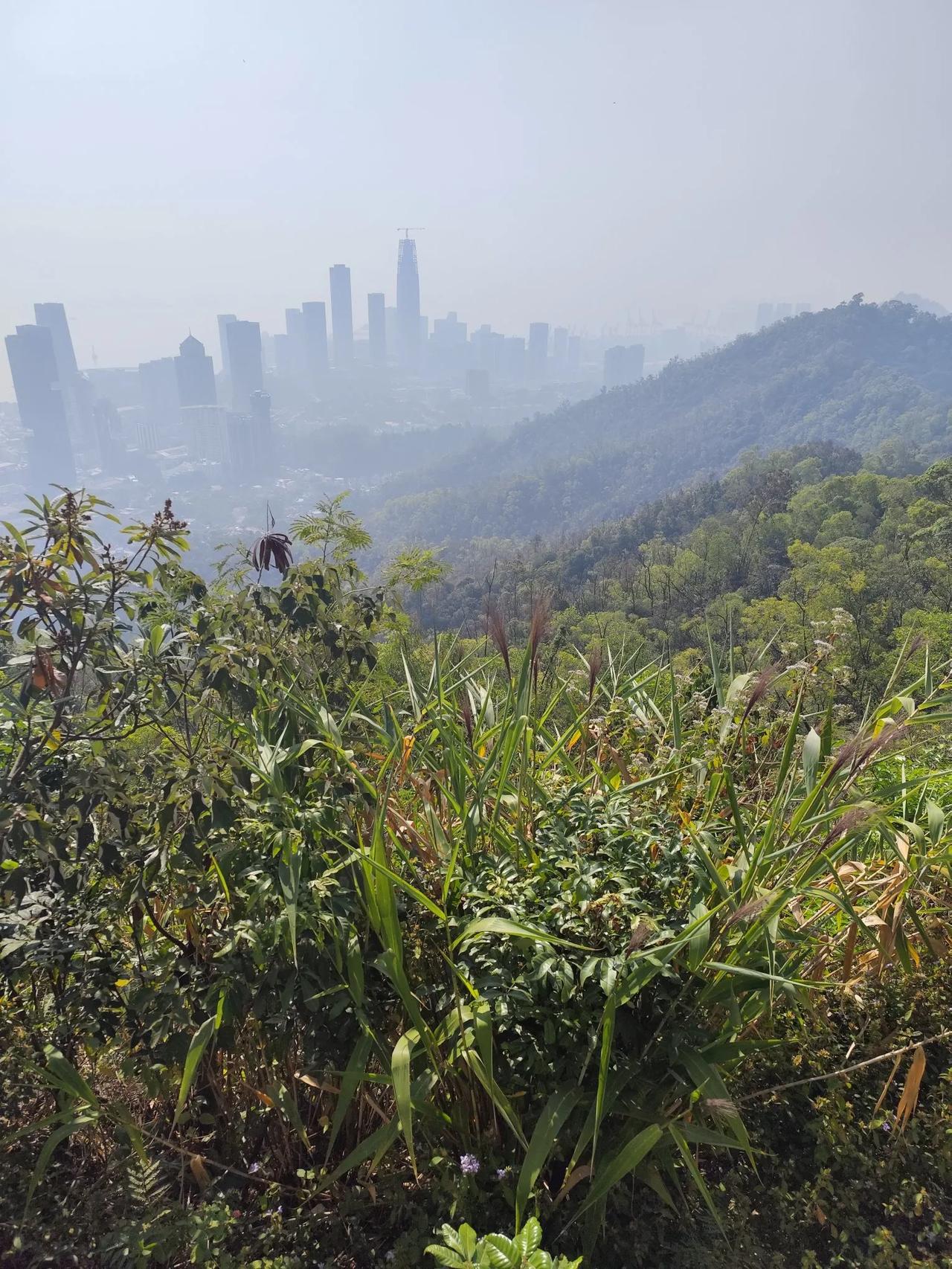 如果郭麒麟因为片酬没参演庆余年3，那就是重大损失，经纪人的失误。别看参加综艺收