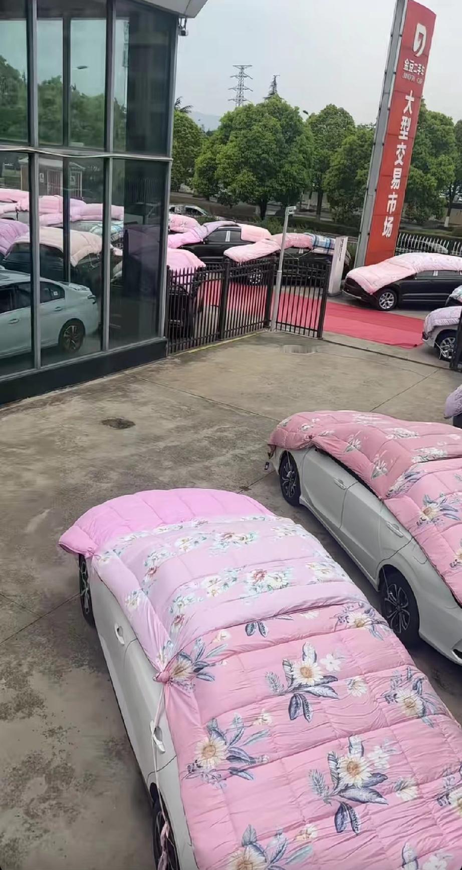 云南曲靖的一位朋友，上传了这么一个视频:某二手车交易市场的一家门店，老板让工作人