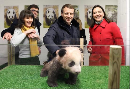 时隔两年半，马克龙再次访华，中方的态度已经不同了 为啥会这样？看看马克龙临行