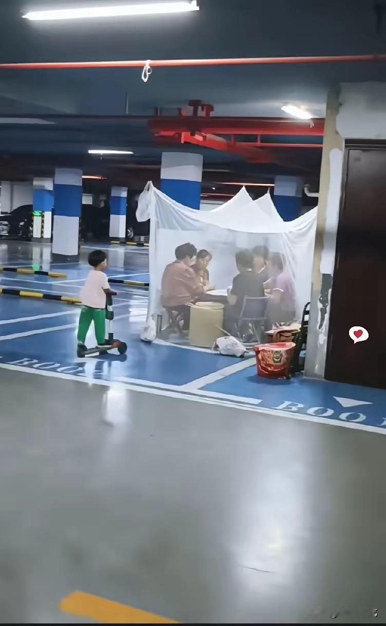 三伏天，热死狗！几位阿姨借着地下车库阴凉气，支起蚊帐打牌，既凉快又省电费，这种