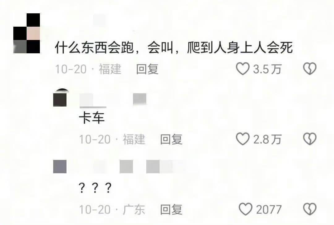 太好了是烂梗我们没救了​​​