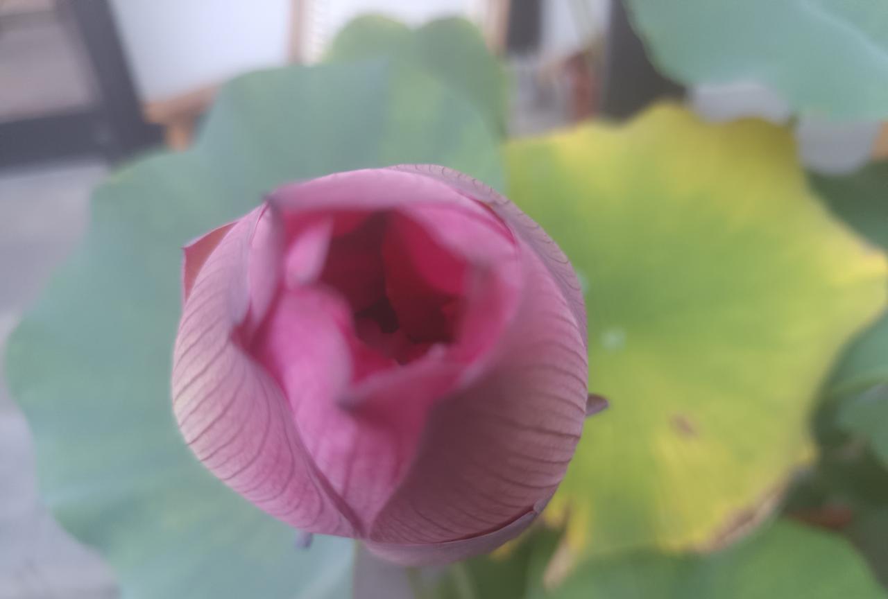 天哪！小米手机竟战胜了苹果。据小米手机董事长雷军发布的信息:27号10点开售。