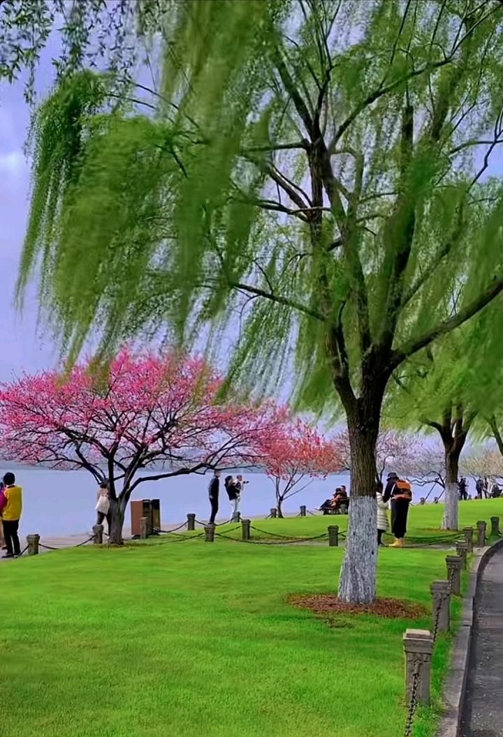 两个黄鹂鸣翠柳，一支红杏出墙来。春风又绿江水岸，……请友续句……？上