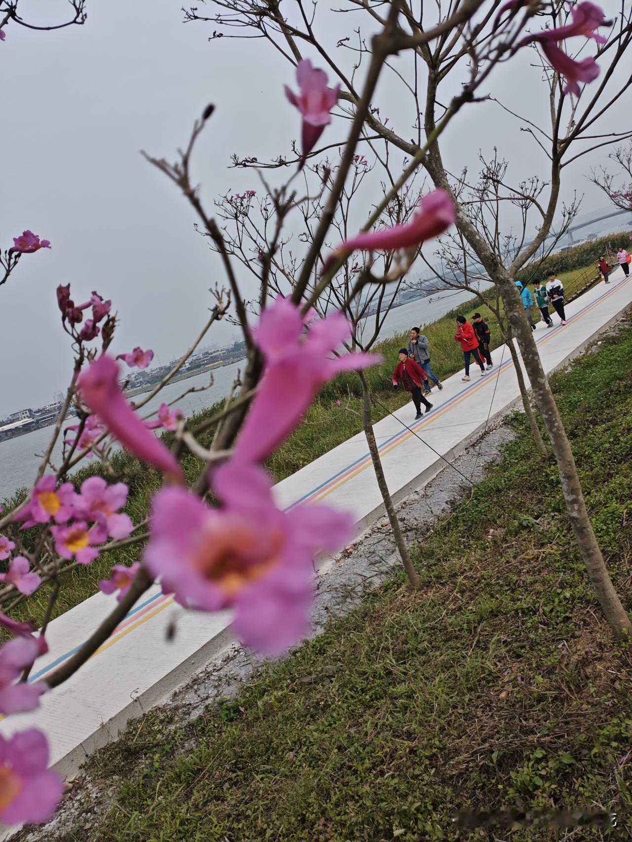婆婆能和亲妈一样对待吗？这是大多数儿媳妇之间的问题。我和婆婆，一直相处同一屋