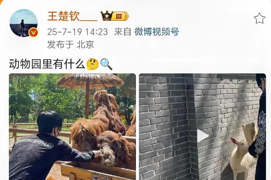 王楚钦太可爱了，跟动物们互动好有爱，看着也好心酸。王楚钦发微博了，他去了
