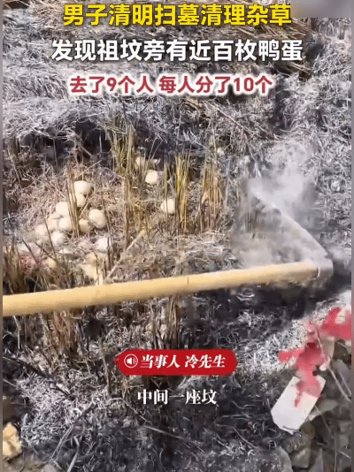 好家伙！清明扫墓竟有这等奇遇！江西九江一男子给祖坟除草，低头一看瞬间懵了——坟边