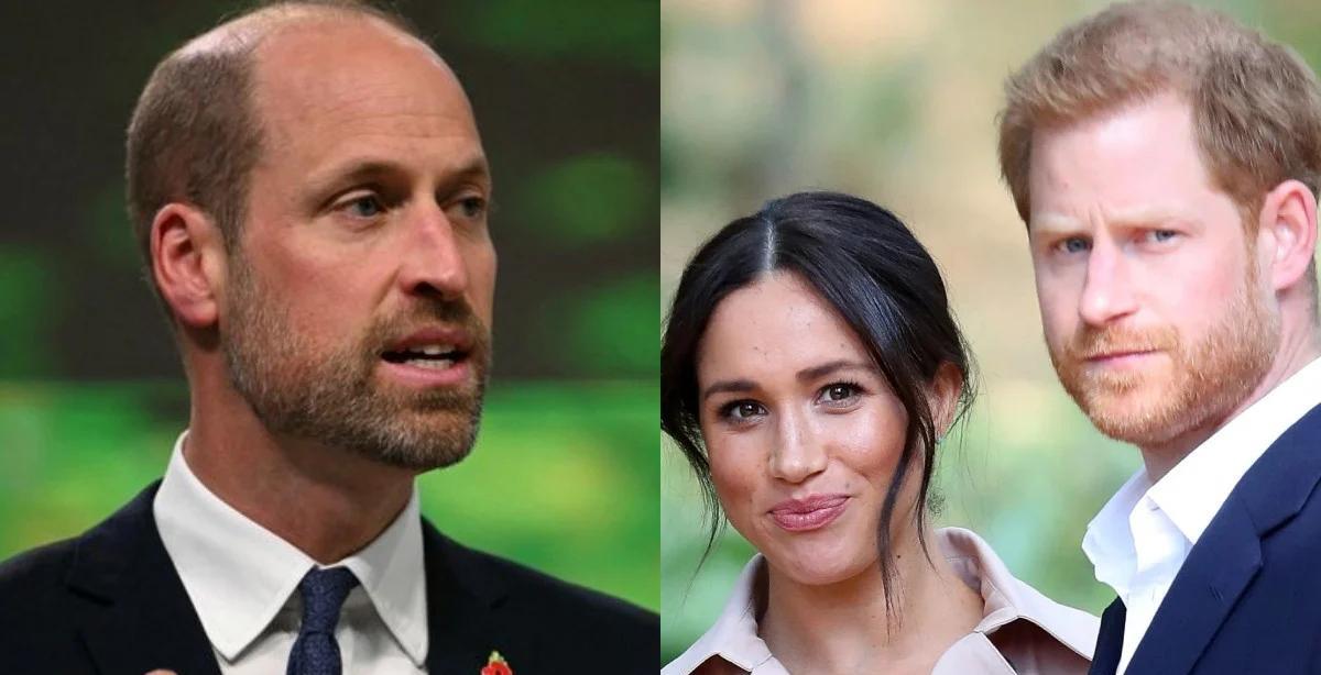 威廉曾告诫哈里“别娶美国演员”，如今一语成谶？“她嫁给哈里，不过是踏向名利场的