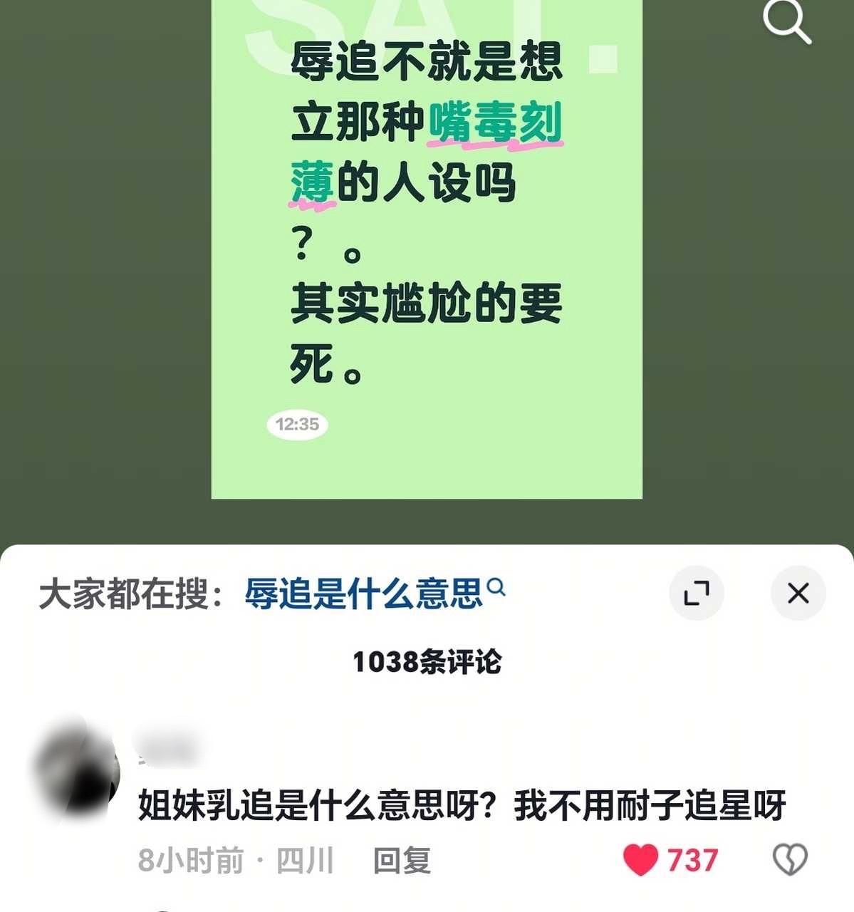 姐妹乳追是什么意思呀？