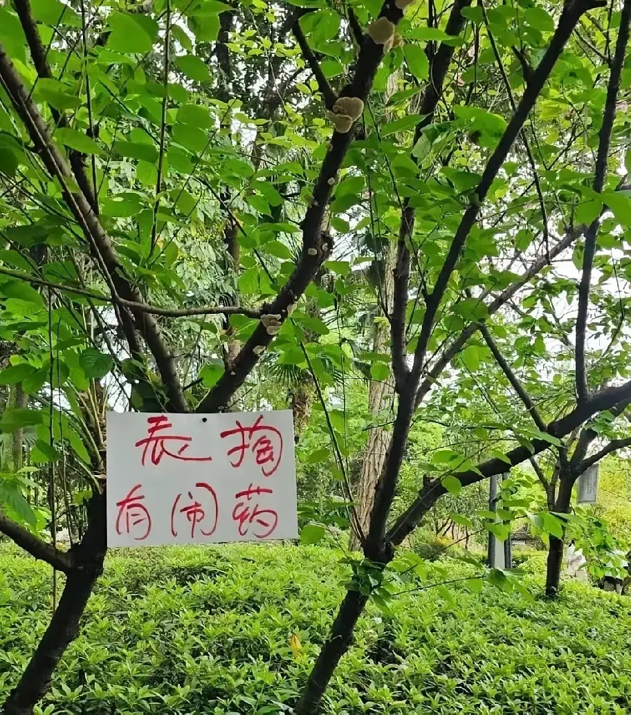 四川人不要开腔，考考外地人，你们能看懂这几个字是什么意思吗？