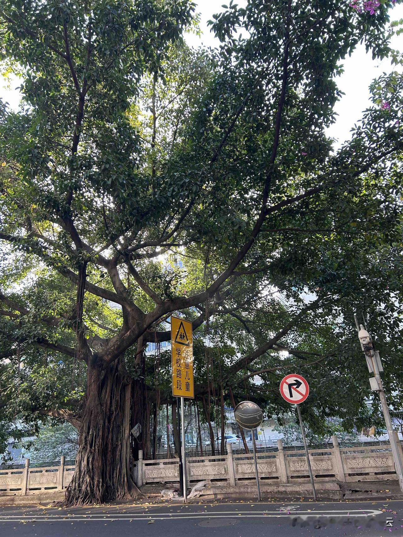 执行力大于一切！不接受反驳！人的生命在于运动，这句话应该很多人都听过！