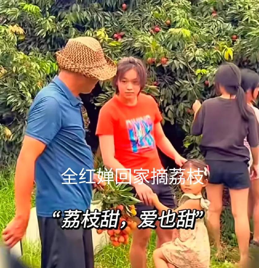 全红婵跑回老家摘荔枝，肉眼可见的婵宝又胖了，不是听说受伤退赛要好好休养的吗，咋又