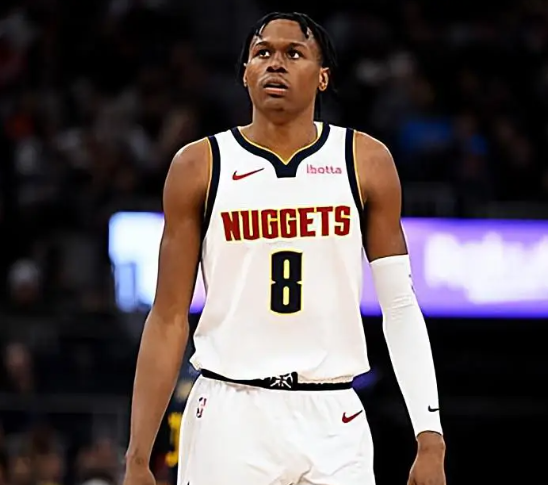 掘金到底需要什么样的锋线?我认为掘金应该在买断市场追求“乐福”而不是“布歇”!